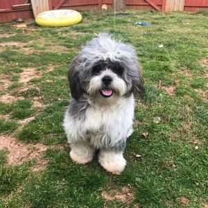 Meet your Posher, Kellie